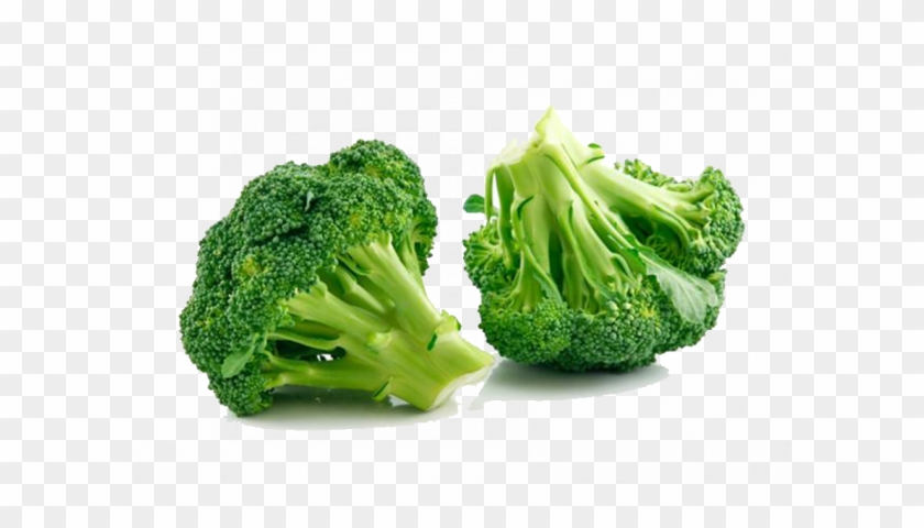 Brocoli Ecológica Freshvana - Broccoli Fruit Clipart #6024741