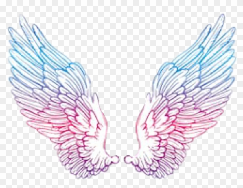 #angelwings #wings #angel #blue #pink #purple #tumblr - Vampire Goddess Drawing Clipart