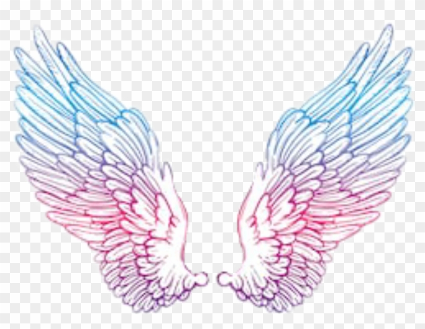 #angelwings #wings #angel #blue #pink #purple #tumblr - Vampire Goddess Drawing Clipart #6024915