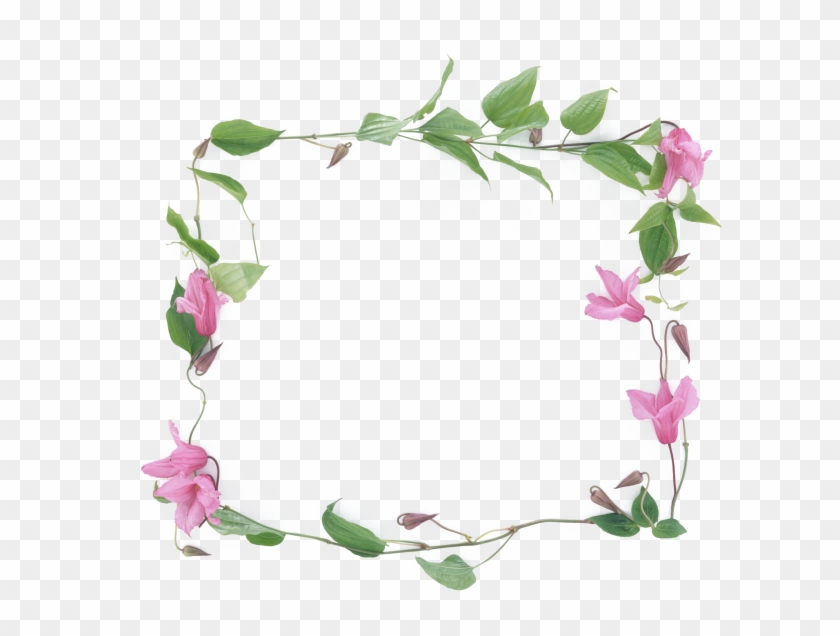 Flower, Picture Frame, Photography, Pink Png Image - Flower Frame Png Clipart