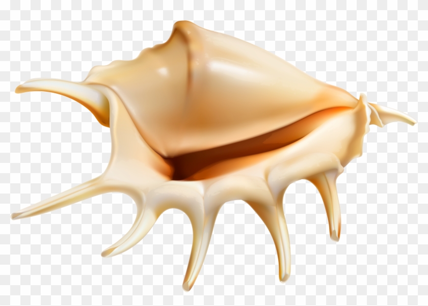 View Full Size - Seashell Clipart #6029033