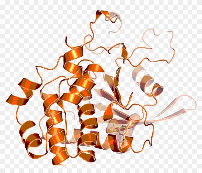 Step Structure And Allosteric Binding Site With Bound - Illustration Clipart