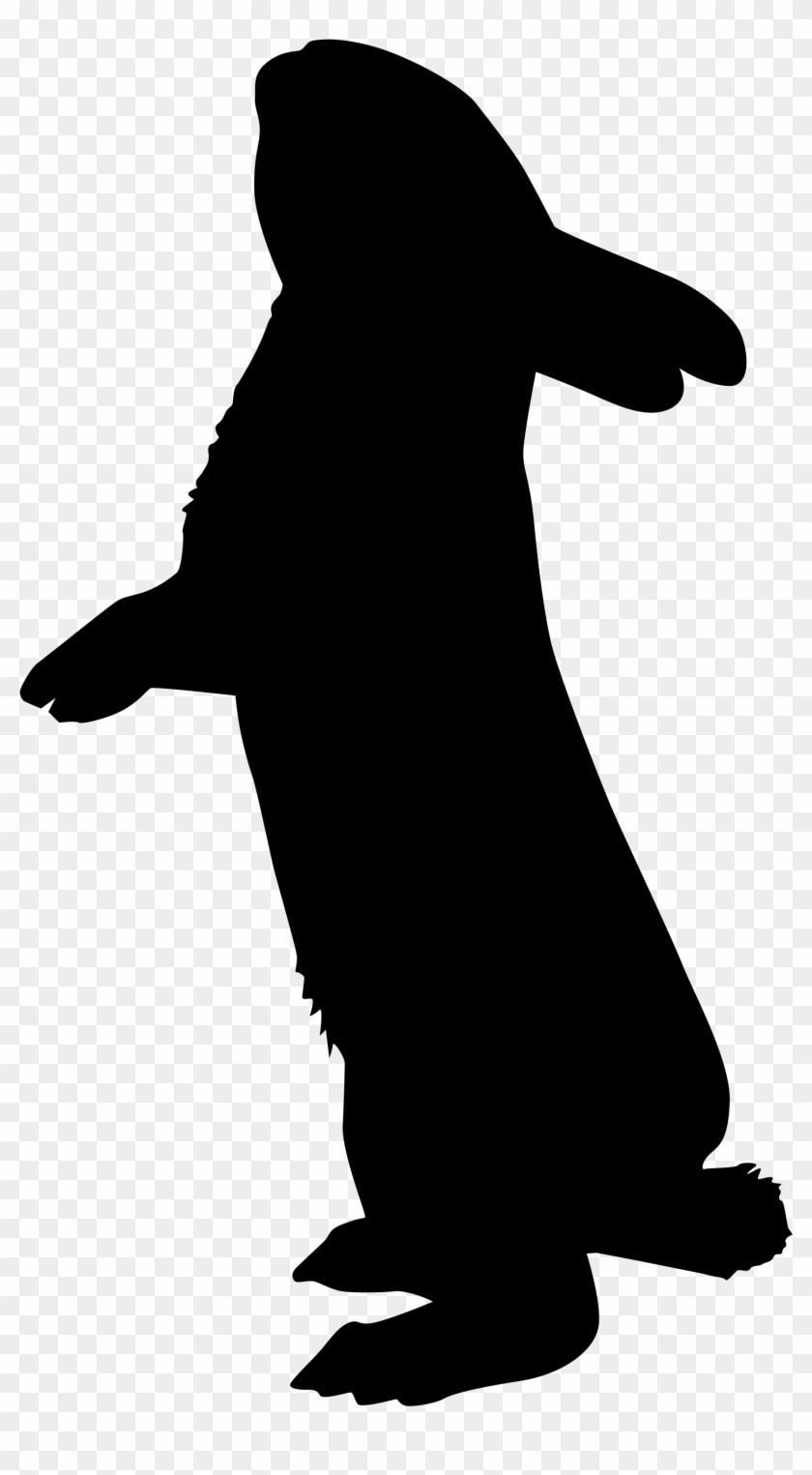 Rabbit Silhouette Png - Silhouette Bunny Clipart #6029070