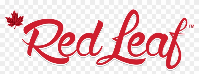 Graphic Design Clipart