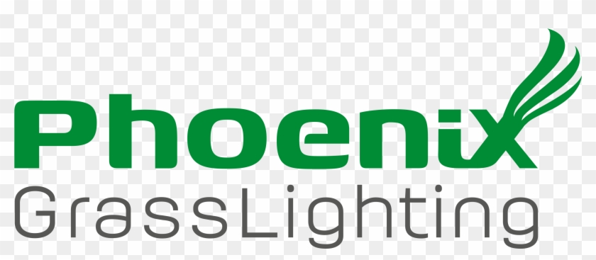 Logo Final Phoenix Transparent - Graphics Clipart