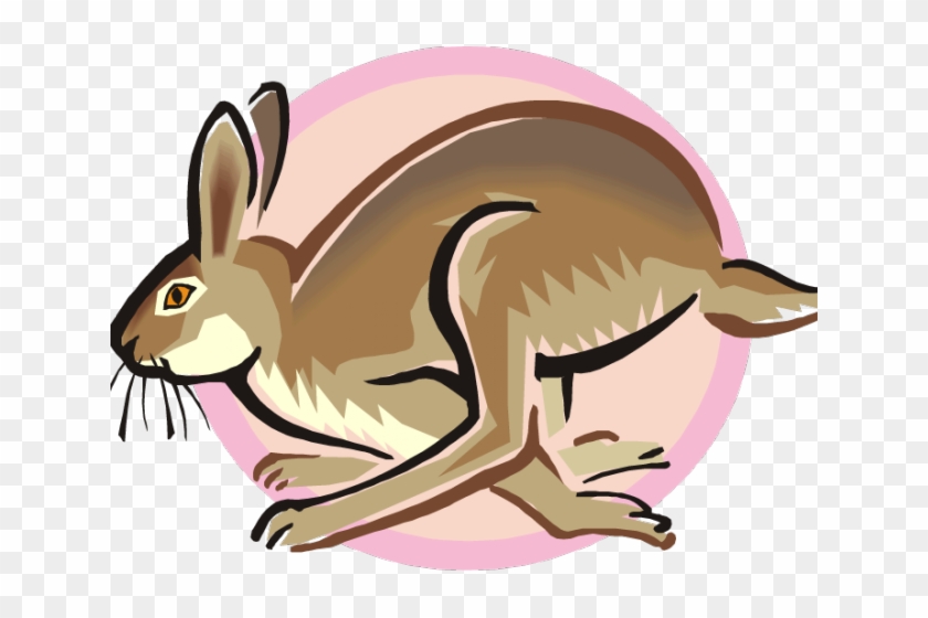 Arctic Hare Clipart Rabbite - Cartoon Hopping Rabbit - Png Download #6029524