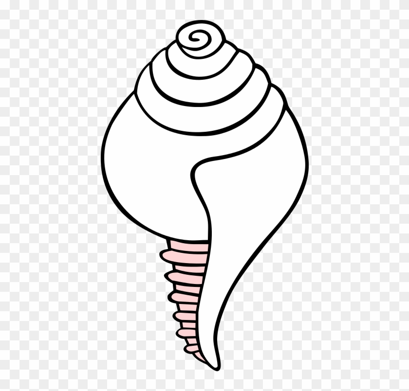 White Conch Symbol - Clipart Shankh Png Transparent Png