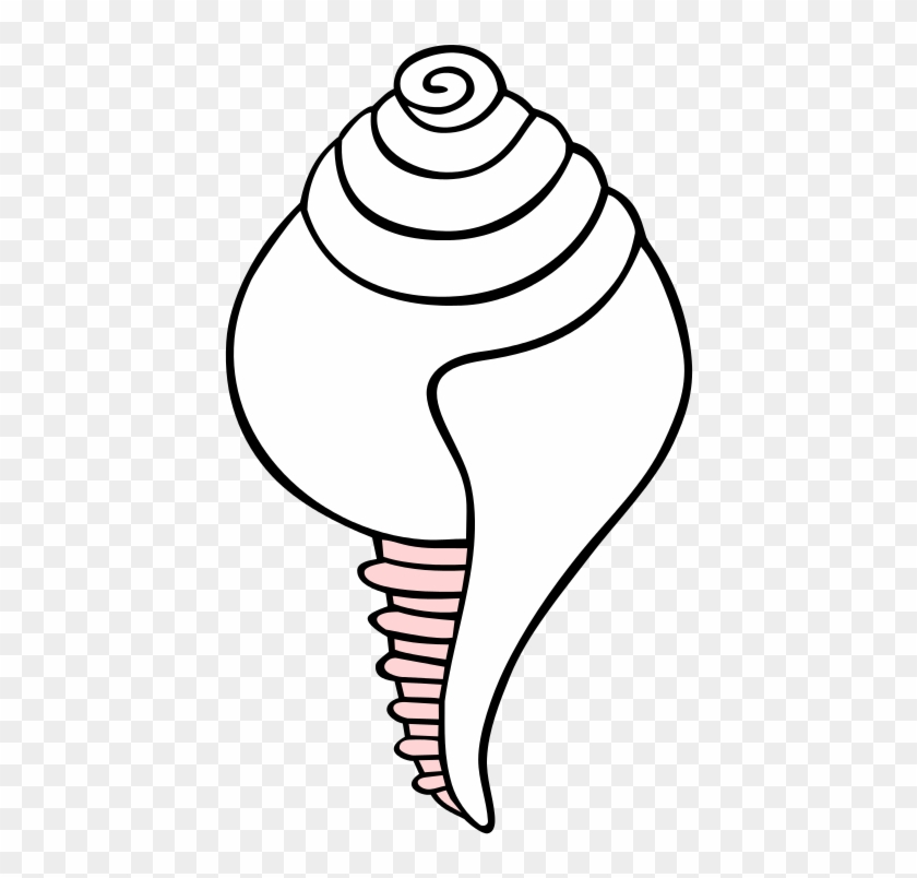 White Conch Symbol - Clipart Shankh Png Transparent Png #6029666