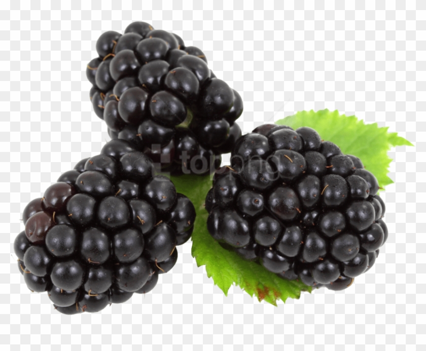 Blackberry With Leaves Png - Blackberries Png Clipart