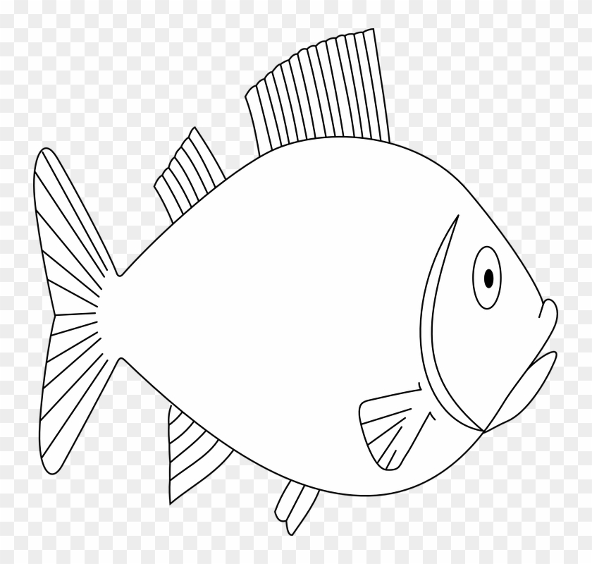 Fish Animal Swimming Sea Life Outline - Gambar Hitam Putih Kehidupan Di Dalam Laut Clipart