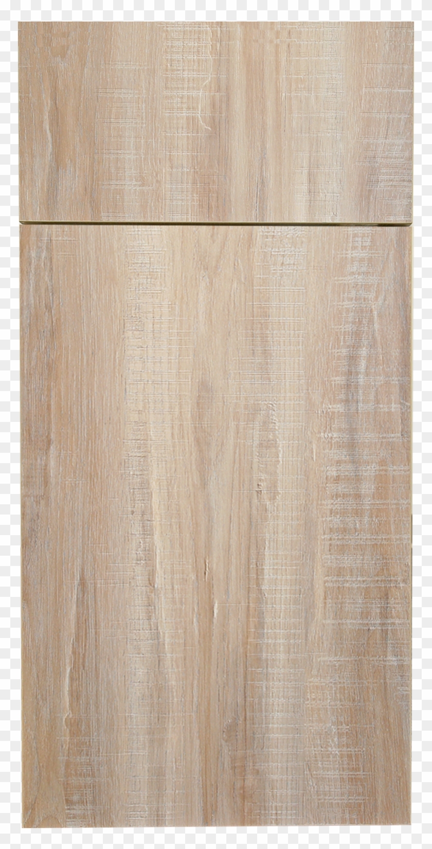 Riviera Conch Shell - Cupboard Clipart