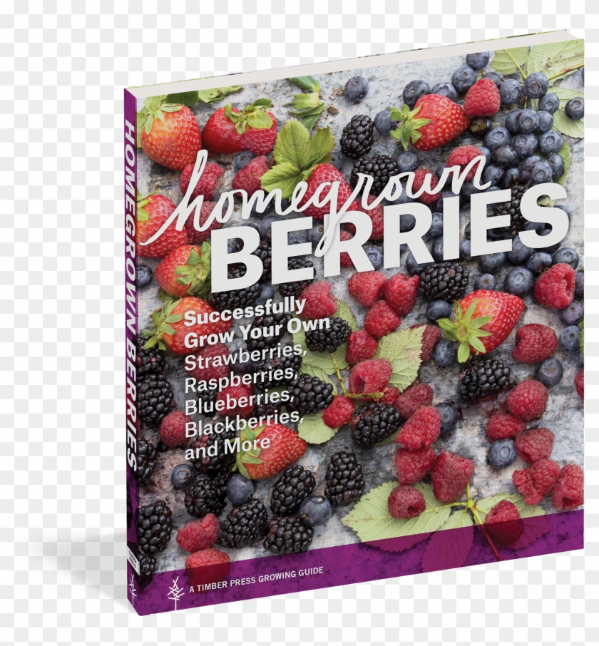 Frutti Di Bosco Clipart