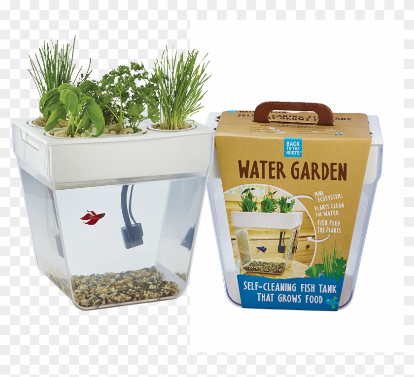 Self Cleaning Fish Tank - Fish Tank W Plants Clipart