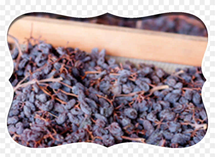 Home Raisins Design - Wood Clipart
