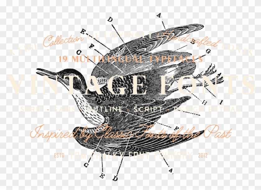 The Handcrafted Vintage Fonts Pack - Sketch Clipart #6030827