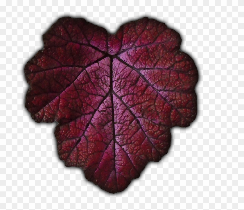 Be Sure To Check Out The Ebay And Etsy Links To See - Close-up Clipart #6030981