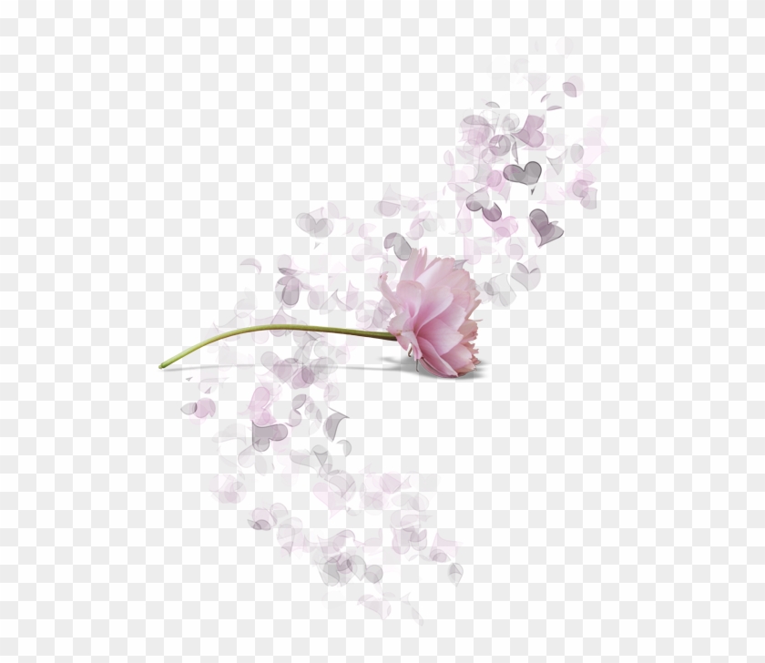 Фото, Автор Arana На Яндекс - Job 14 8 Kjv Clipart #6031219