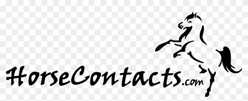 Horse Contacts Logo Png Transparent - Calligraphy Clipart