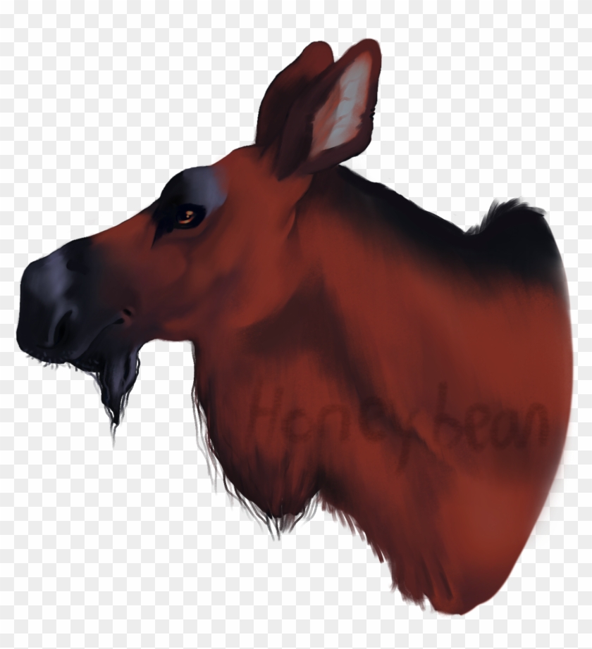 Moose Head Portrait For Sale For Extra I'd Be Happy - Mule Clipart