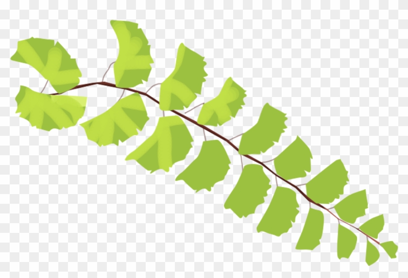 Leaves Plants Hand Drawn Style Fresh Png And Psd - Portable Network Graphics Clipart