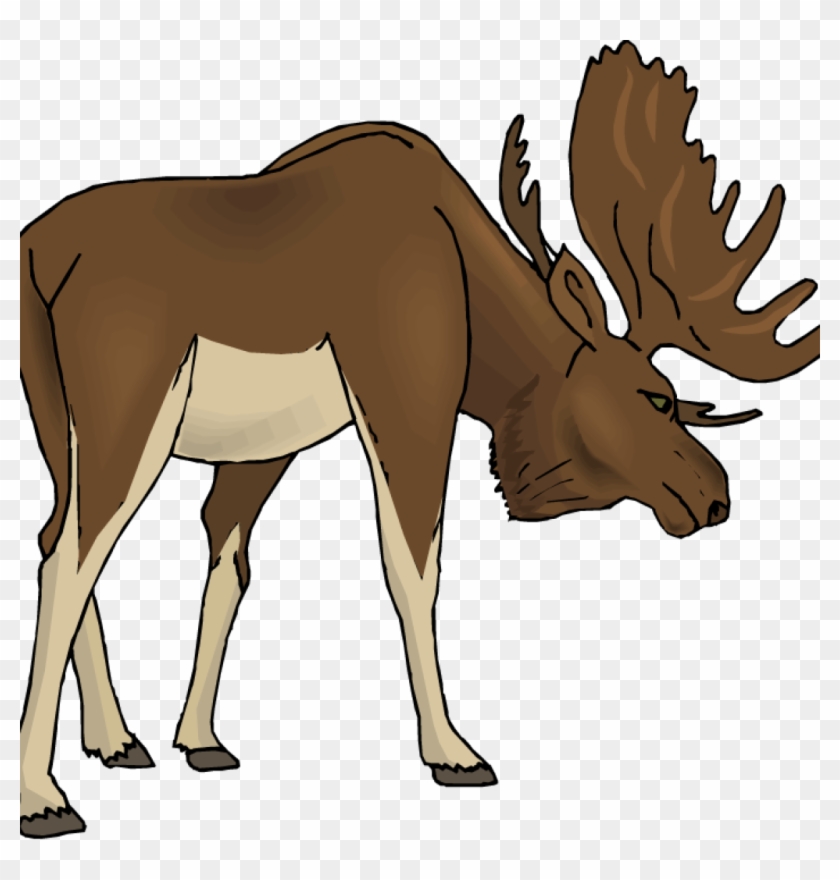 Free Vector And Clip Art Inspiration Candelalive - Moose Clipart Transparent - Png Download #6032285