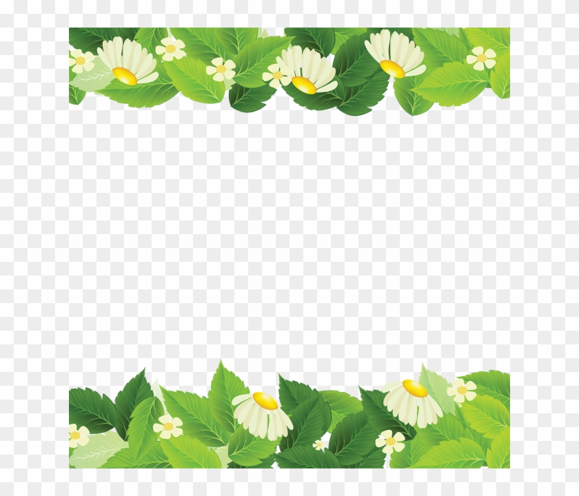 Hojas Plantas Vector Clipart