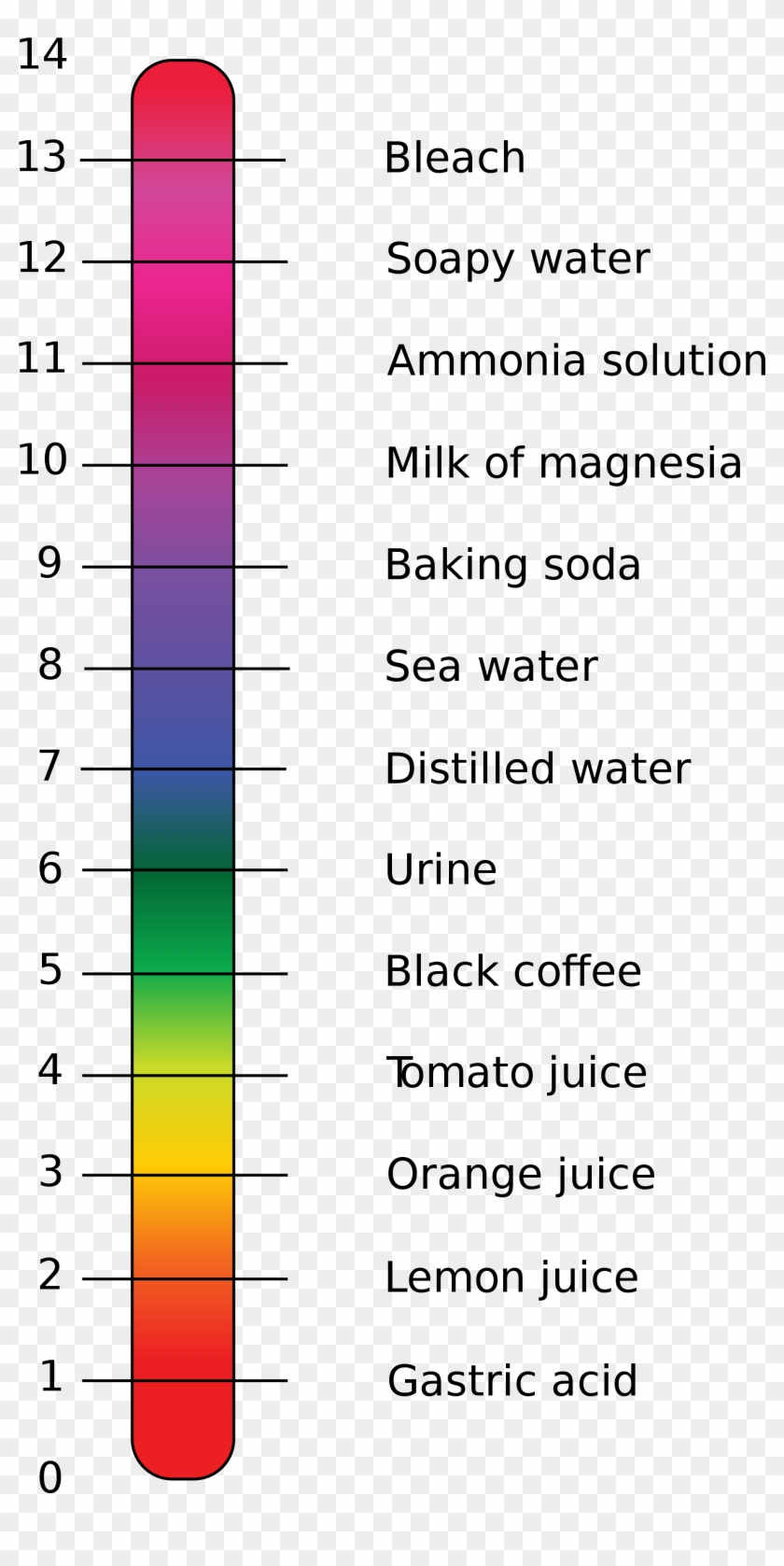 Ph Scale Pool Chemistry Pool Chemistry 101 How To Balance - Calcium Carbonate On Ph Scale Clipart #6032592