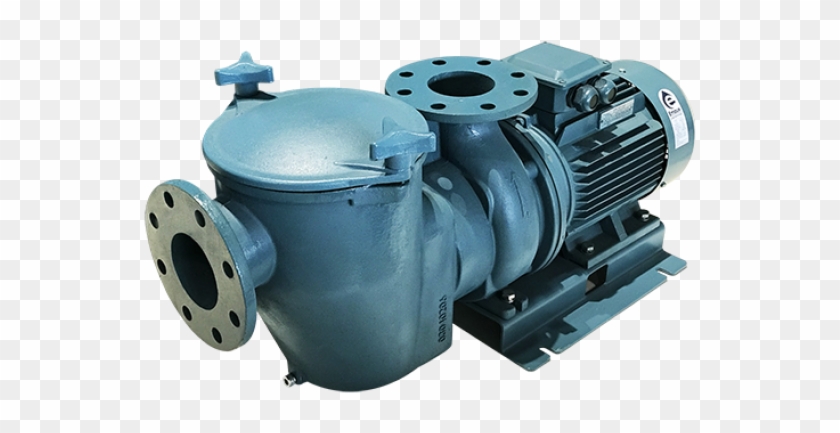 Range From - Sealless Pumps Finish Thompson Clipart