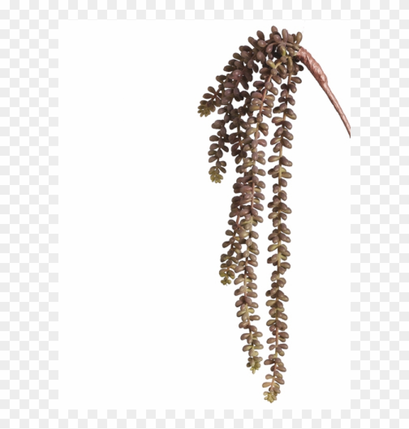 19" Sedum Vine Burgundy Green - Bead Clipart