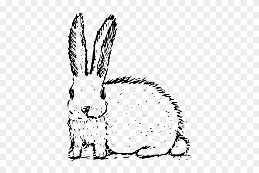 Rabbit Rubber Stamp - Domestic Rabbit Clipart #6036644