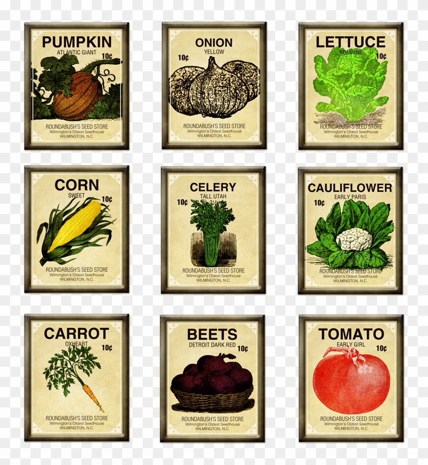 Fascinating Vegetable Garden Seeds Charming Ideas Seed - Seed Packet Clipart #6036980