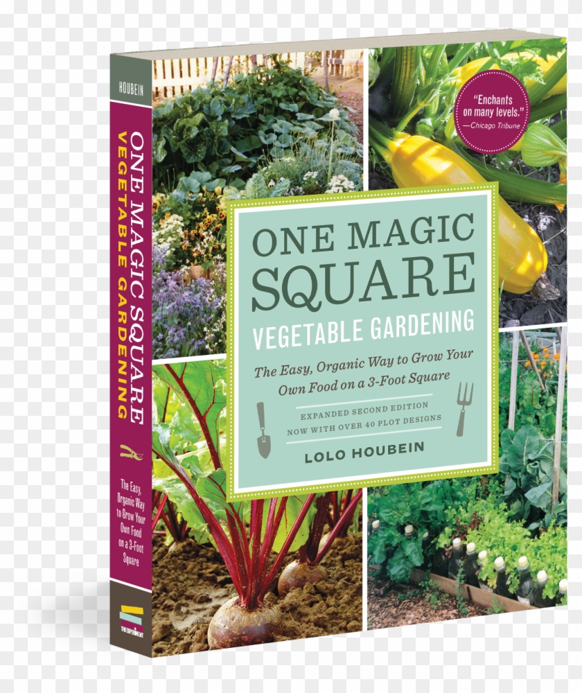 One Magic Square Clipart #6037027