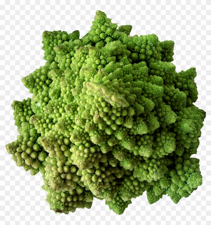 This Free Icons Png Design Of Cauliflower 2 - Cauliflower Clipart #6037418