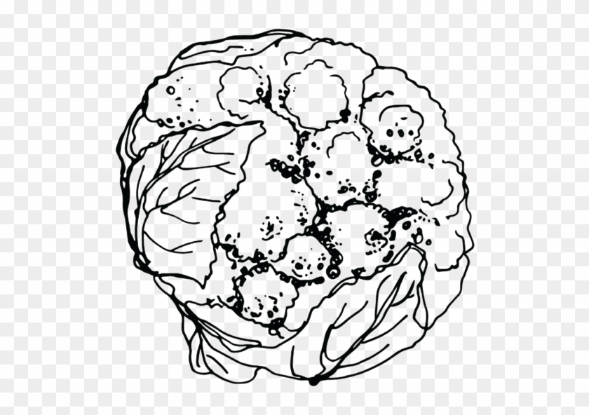 Sketch Clipart #6037552