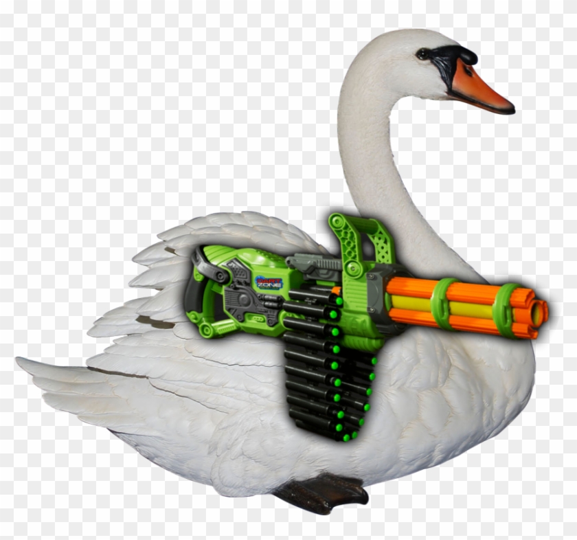 Swan Png Clipart - Trumpeter Swan Transparent Png