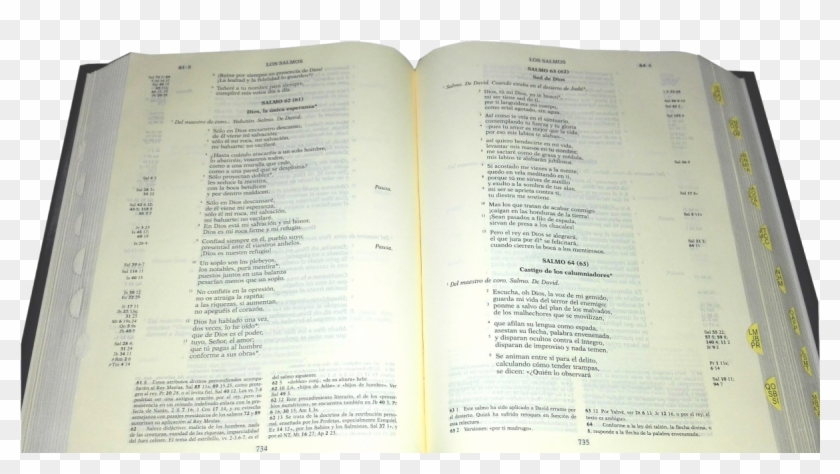 Biblia Abierta Png Clipart