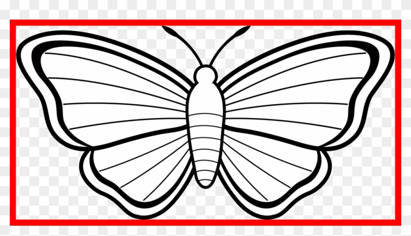 Transparent Library Astonishing Image For Popular Clip - Simple Sketch Easy Butterfly Drawing - Png Download #6045295