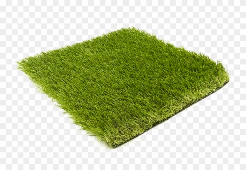 Wisdom 40mm - Types - Grass - Lawn Clipart