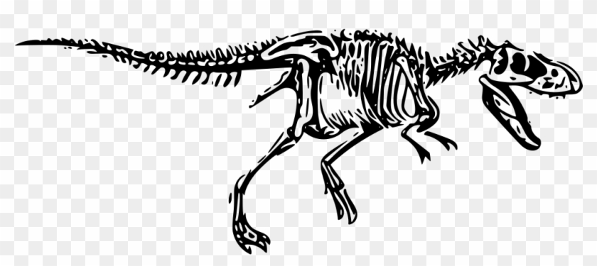 Svg Dinosaur T - T Rex Skeleton Png Clipart #6047353
