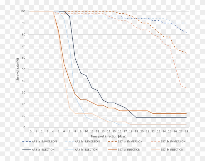 Preview - Plot Clipart