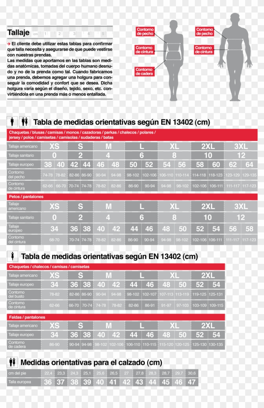 Comprueba Tu Talla - Carmine Clipart