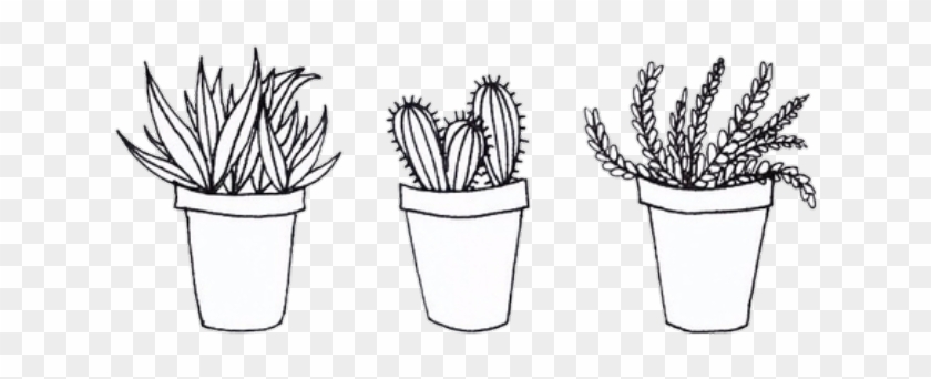 Aesthetic Tumblr Transparent Sketches Related Keywords - Cactus Drawing Black And White Clipart #6050795