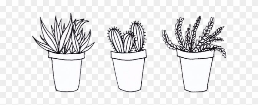 Aesthetic Tumblr Transparent Sketches Related Keywords - Cactus Drawing Black And White Clipart