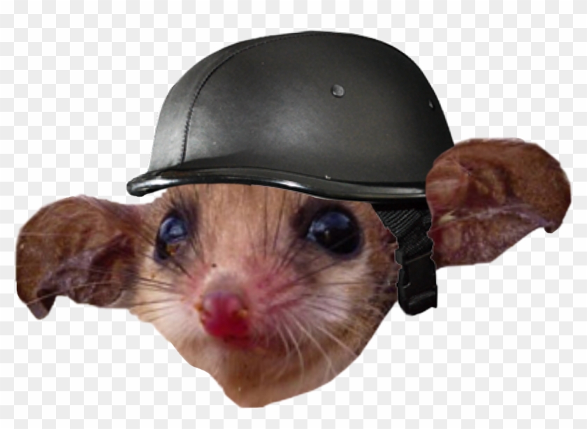 Reportar Abuso - Mouse Clipart