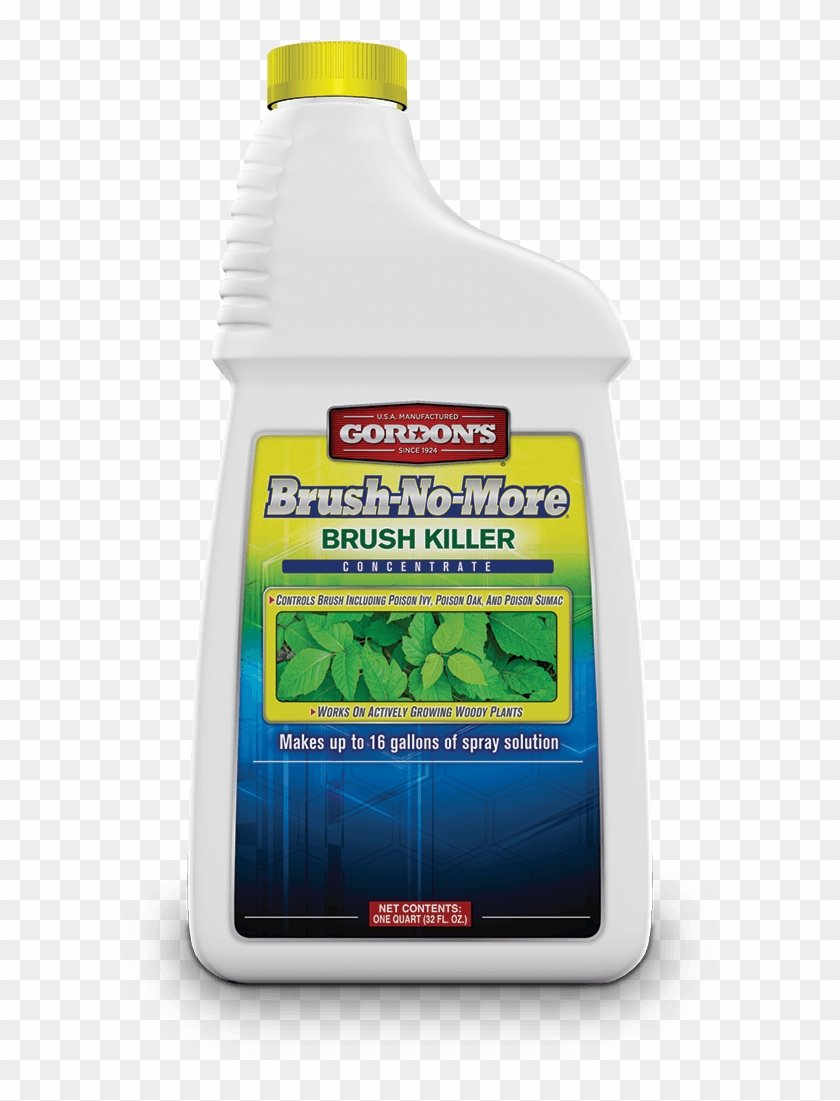 Lawn & Garden - Floor Clipart #6055852