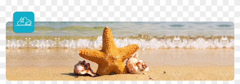 Summer Inventory - Sand Clipart #6056769