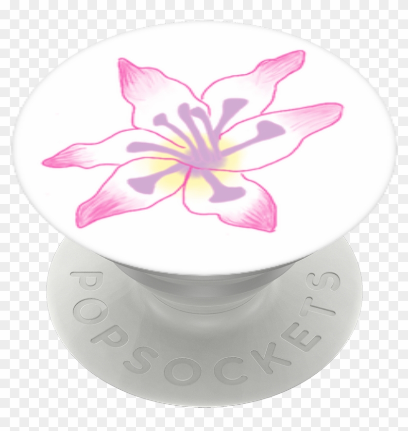 Gladiolus Flower, Popsockets - Lily Clipart #6057004