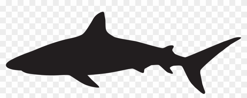 Shark Silhouette Png Clip Art Image - Shark Silhouette Png Transparent Png
