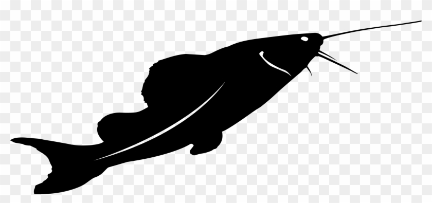 Fish Silhouette - Graphics - Illustration Clipart #612070