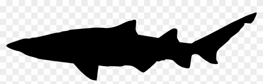 Free Download - Transparent Background Clipart Sharks - Png Download #612247